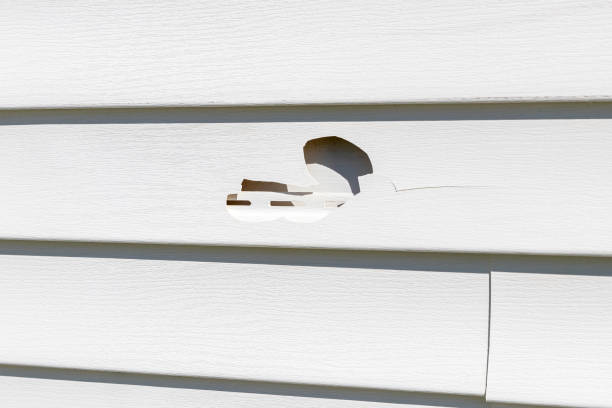 Woodlyn, PA Siding Installation & Repair Company